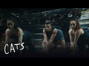 HOW TO BE A CAT - How hands become paws 